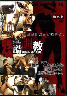 ڽλĹĴ(DVD)(KJ-15)