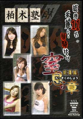 ڽΡ©ξ(DVD)(KJ-14)