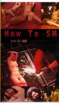 HOW TO SMM(MJ-003)