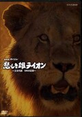 NHKスペシャル悲しき雄ライオン〜王交代劇9年の記録〜(DVD)(KMNH-00001)