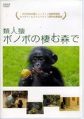 類人猿ボノボの棲む森で(DVD)(PCBG-10999)