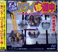 ハワイ珍道中(DVD)(BHD-001)