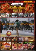 愛奴コレクション Vol.15(DVD)(SIC-015)