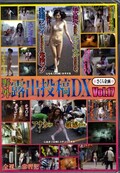 野外露出投稿DX Vol.17(DVD)(RDX-017)