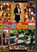 投稿にっきDX Vol.28(DVD)(NDX-028)