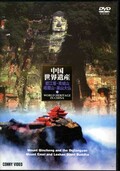 中国世界遺産　都江堰・青葉山・我眉山・楽山大仏 10(DVD)(DNN-819)
