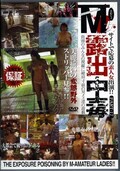 M女露出中毒 PART-17(DVD)(DFTC-17)