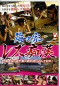 海の家レズ痴漢(DVD)(VICD-070)