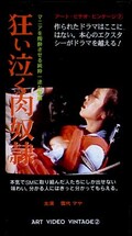 狂い泣く肉奴隷 雪代マヤ(AV2-02)