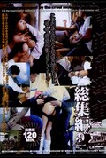 情鬼痴漢車総集編(DVD)(DSJT-001)
