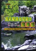 露天風呂女湯覗き総集編　1(DVD)(DSYRS-01)