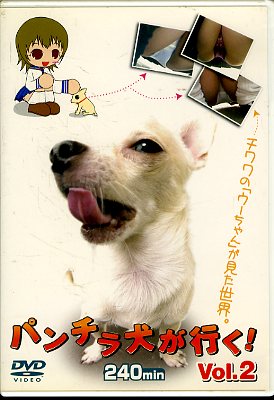 ѥ鸤ԤVol.2(DVD)(ץD-072)