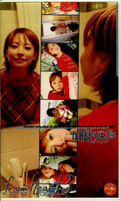 եࡦϡ3ƣꤢ(FH-13)