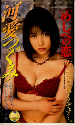 �ᤷ�٤������İ��Ĥ���(HJC-004)