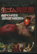 (DVD)(AXDVD-0170R)