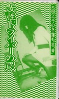 女性ドライバーの罠(HO-95008)
